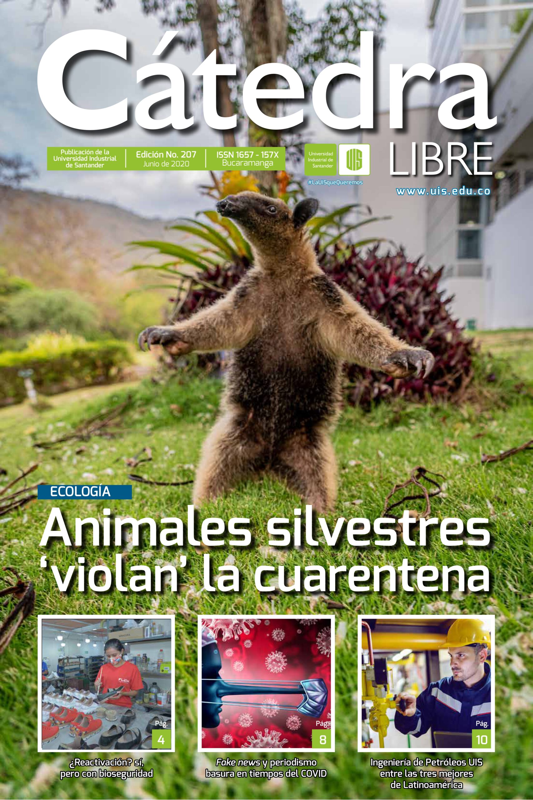 portada catedra libre edición 207